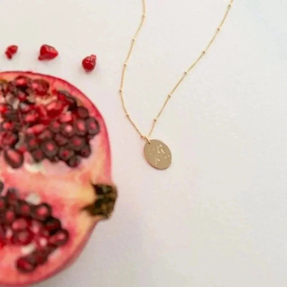 Leo Minimalist Zodiac Charm Oval Disc Necklace